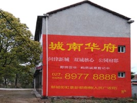 天峨百分之90的人都不了解的农村墙体广告