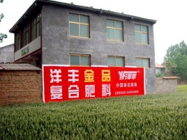 天峨如何让墙体广告展现最大化效果