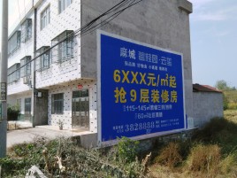 天峨墙体广告质量分析