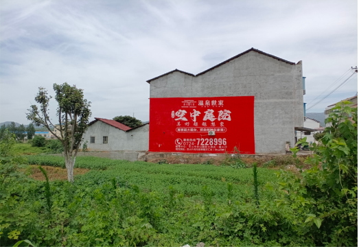 天峨做墙体广告的意义