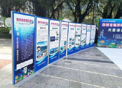 天峨KT板的种类和知识。